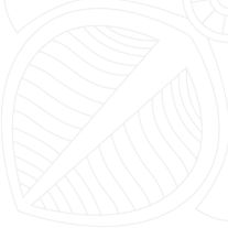 Lyenar-wealth-Management