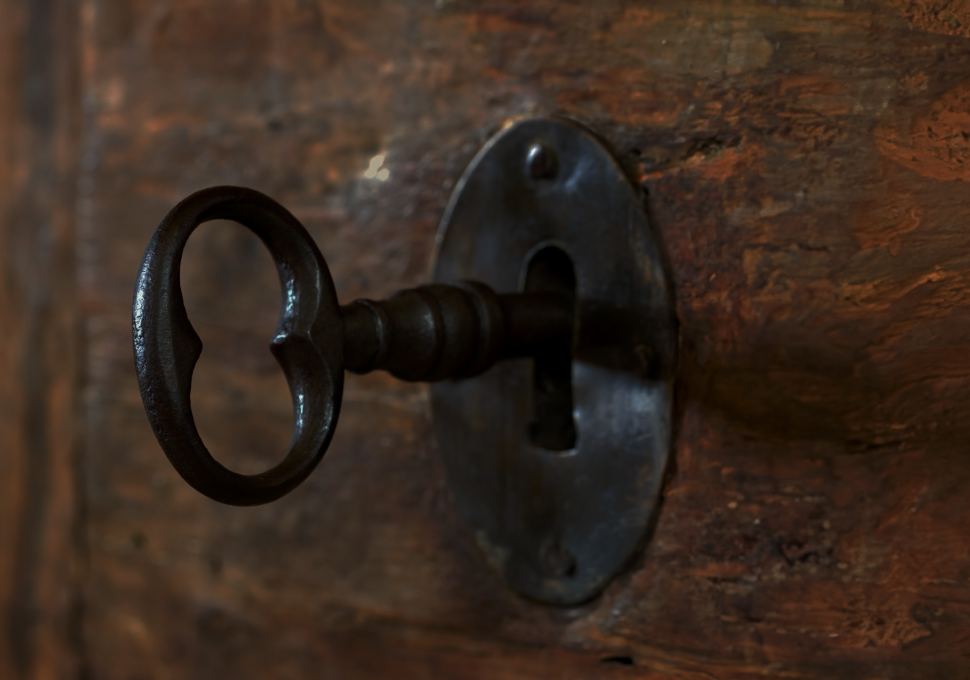 Lynear-Our-Governance