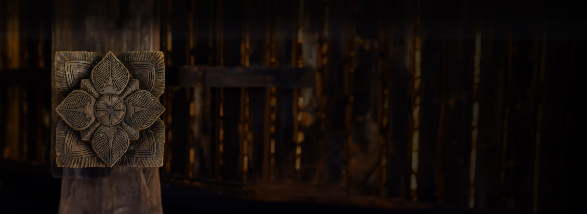 Lynear Get In touch with us